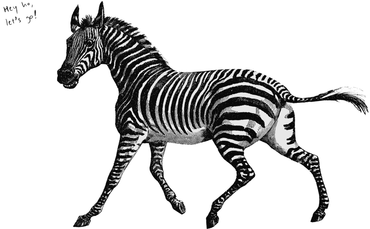 Schwarzweiß Bild eines Zebras mit dem Schriftzug "Hey ho, let's go!"